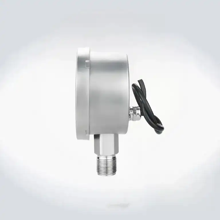 Bottom Mount Stainless Steel Digital Pressure Switch2